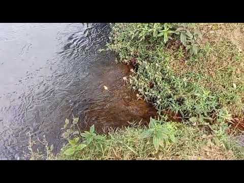 SGRP👏🏾. São Gonçalo do Rio Preto/MG💯👏🏾.  🙋🏾‍♂️👩🏽‍🦱🍬🍻🥳🥳👏👏... 04/07/2025 ...