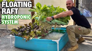 Thumbnail for video: How to Build a Floating Raft Hydroponic System