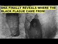 Ancient DNA Finally Reveals the REAL Origin of the Black Death