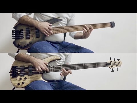 Cort Space 5 vs. Cort A5 Ultra Ash