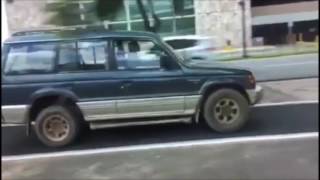 Conductor (Animal) manejando por el paseo de la Churchill