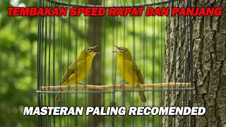 Download lagu PANCINGAN PLECI NEMBAK SPEED PANJANG DAN RAPAT, COCOK UNTUK MASTERAN mp3