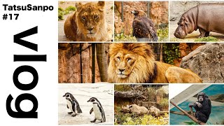 #17【後編】たつさんぽ 〜天王寺動物園に行く〜