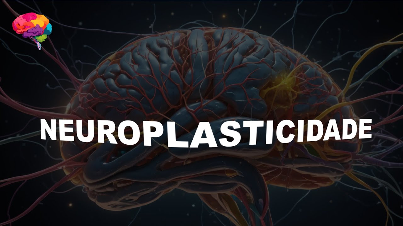 A Neuroplasticidade do Modelo Cognitivo e das Crenças