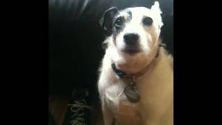 Let the Bad Times Roll