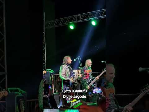 Ljeto u Vakufu Divlje Jagode #sseemmiirr #bosna #donjivakuf