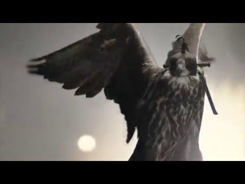 Experience the Excitement at Medieval Times Myrtle Beach!