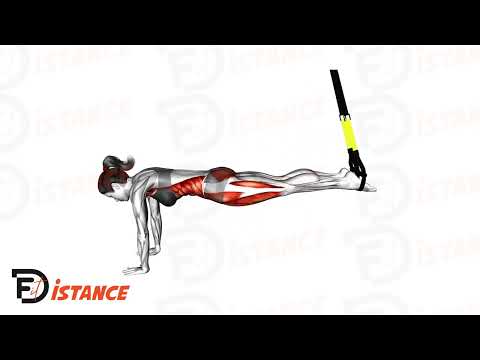 Exercice Planche TRX