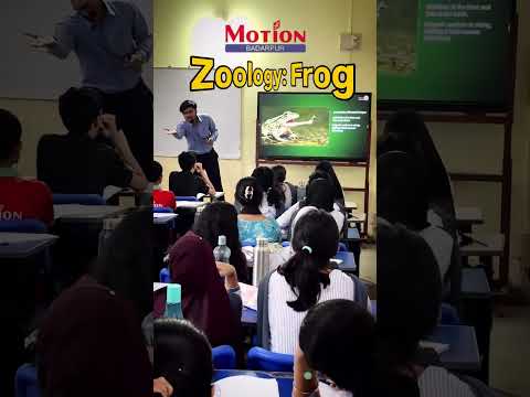 Frog: A NEET Zoology Class