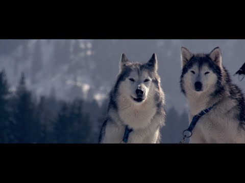 Brandhärd feat. Silenus – Luschtmord