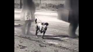 I won't find her ...in a tin flask