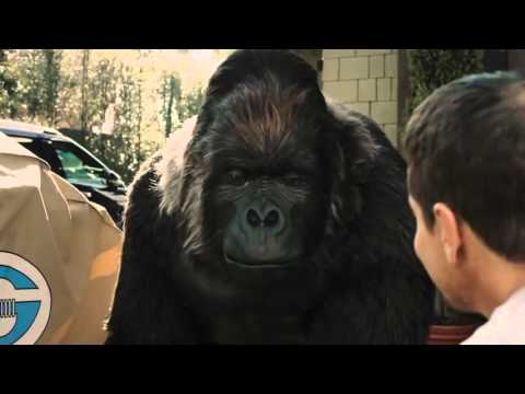 Gorilla Clear Repair Commercial / Klar tape til repation fra hansen-seest.dk