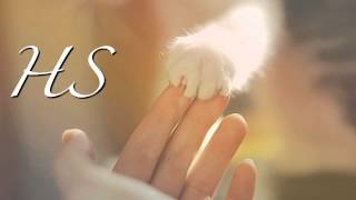 Vexento - We Are One [1 Hour Version]