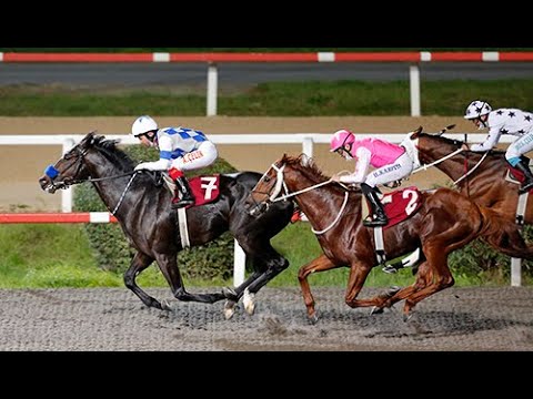 TJK 1987 Mayıs Haziran At Yarışları Halis Karataş Kariyerinde İlk Koşusu