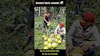 Coconut boxing is insane 🥥