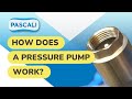 How Does A Pressure Pump Work Pascali Pumps