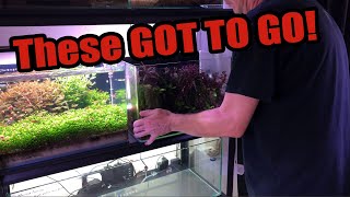 Making Changes To The Fish Room | 3 NEW Tanks Going In!