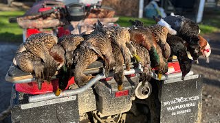Duck Shooting 2024, Stalking Dams, NZ