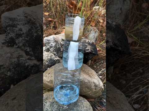 Survival Skills! Amazing Dirty Water Purification Filter #survival #camping #lifehacks #skills
