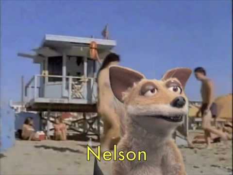 One Minute Mongrel Challenge - Mills & Mongrels do Baywatch