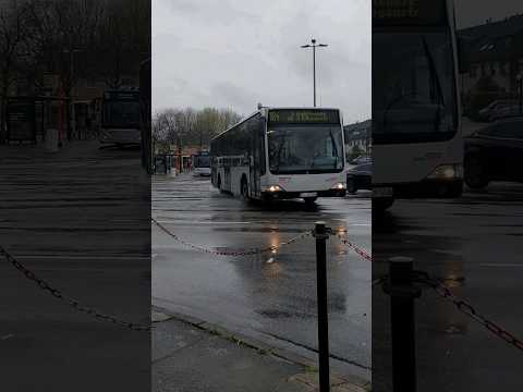 Linie 184 am Schenefelder Platz mit dem C1 und C2 der @vhhmobility 🚍 | #shorts #bus