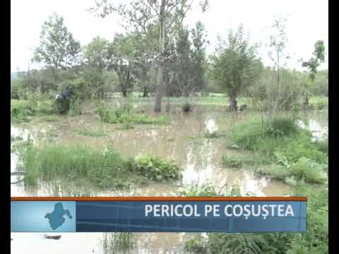 Pericol pe Cosustea