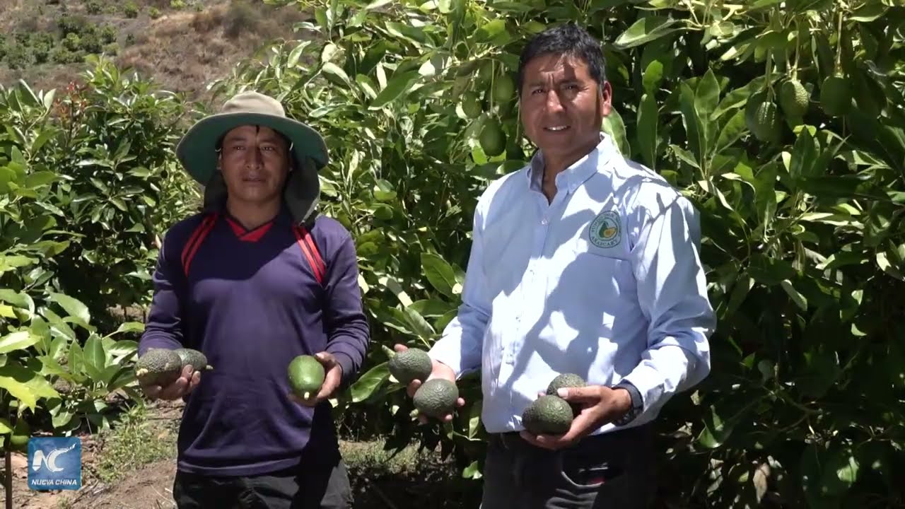 Empresarios peruanos ven en la CIIE oportunidad para impulsar mayor intercambio comercial y cultural