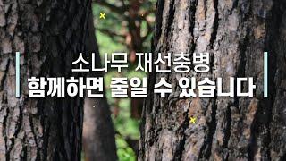 [#소나무재선충병]함께하면 줄일 수 있습니다.
