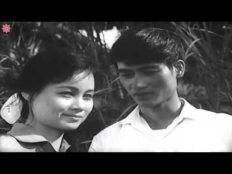 Best Vietnam Movies | The Echo of the River | Full Length English Subtitles