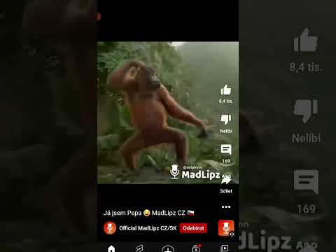 a já jsem pepa s placu