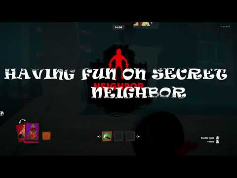 Having Fun on Secret Neighbor