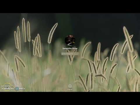 the history anf uses of Amanita muscaria, ibotenic acid and