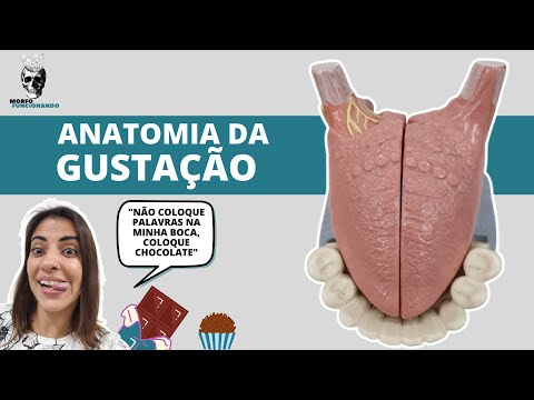 SENTIDOS ESPECIAIS - ANATOMIA DA GUSTAÇÃO #16