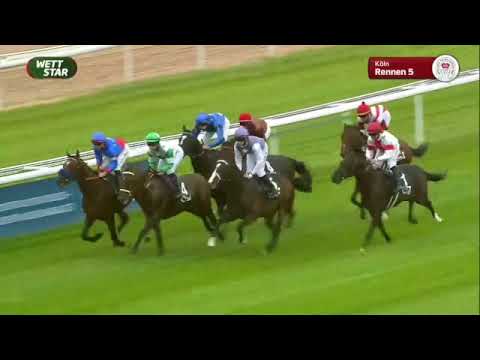 Zuckerhut - Andrasch Starke -  190. Union-Rennen Köln