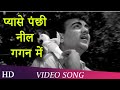 Pyaase Pachni Neel Gagan Mein Pyase Panchi 1961 Mehmood Ameeta Jeevan