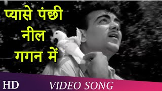 Download lagu Pyaase Pachni Neel Gagan Mein | Pyase Panchi (1961) | Mehmood | Ameeta | Jeevan mp3
