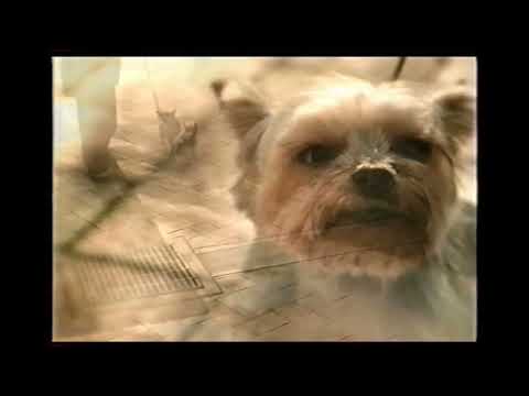 【懐かしいCM】ＪＴ　2004年　Retro Japanese Commercials