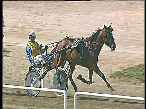 Trotto 17/09/2017 - 3ª corsa