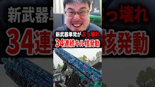 新武器単発が強武器過ぎてフルパ相手に『34連続キル』核発動！【CoD:BO7】