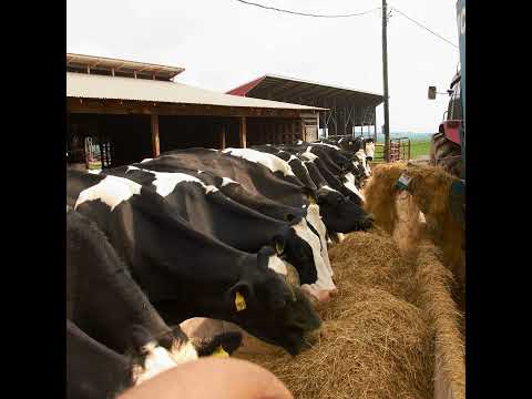 Episode 22.3: Precision Nutrition Research with Dr. Leoni Martins