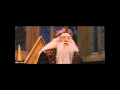 Harry Potter 300