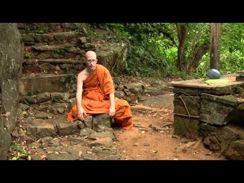 Ask A Monk: Experience of Reality