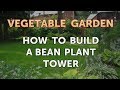 How to Build a Bean Plant Tower