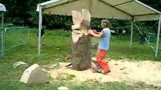 preview picture of video 'Tatton Park Chainsaw Carving Clip 1'