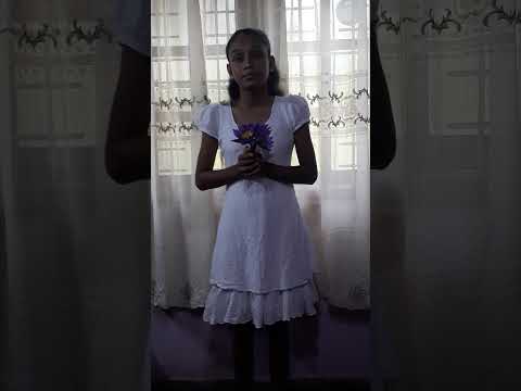 Thimashi Adithya Walpola