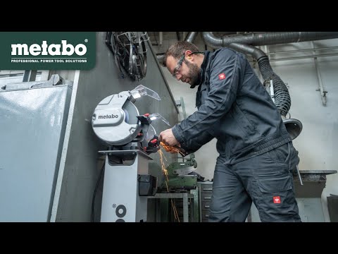 Точило Metabo DS 200 Plus - фото 1 - id-p1692205992