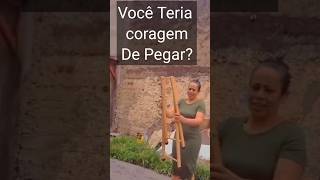 Na Sua FAMÍLIA TEM A DOIDA DA RECICLAGEM? #diy #diyideas