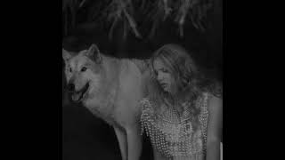 Lana Del Rey - (Big Bad) Wolf