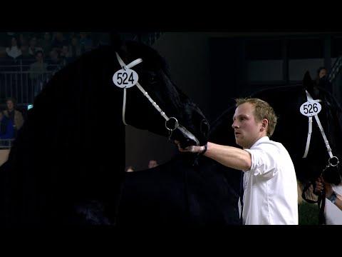 HK 2023 | Rubriek 7 | Herre 524 en Gosse 526