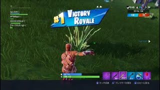 Fortnite_20190106063925